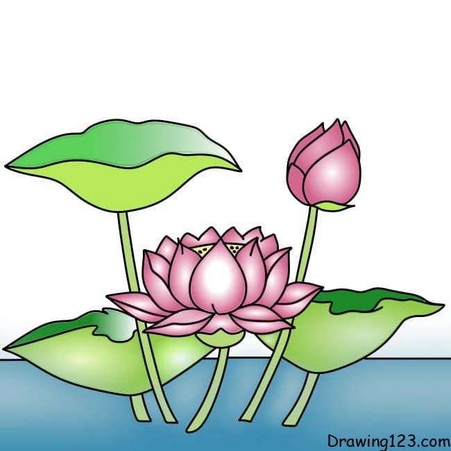 Jak Nakreslit drawing-lotus-flower-step-11-1