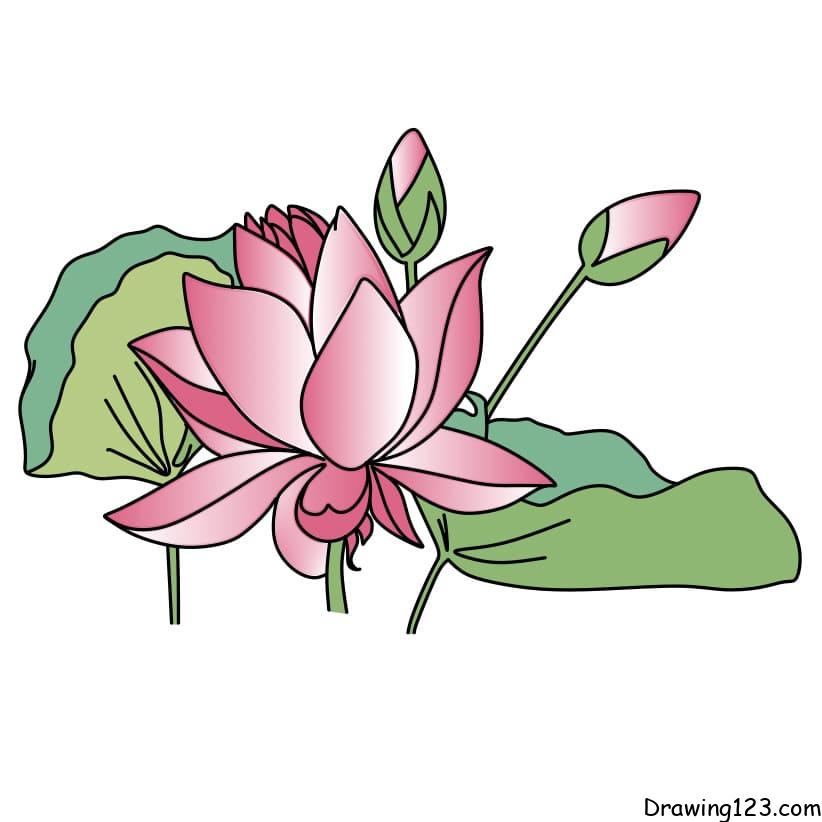 Jak Nakreslit drawing-lotus-flower-step-8-1