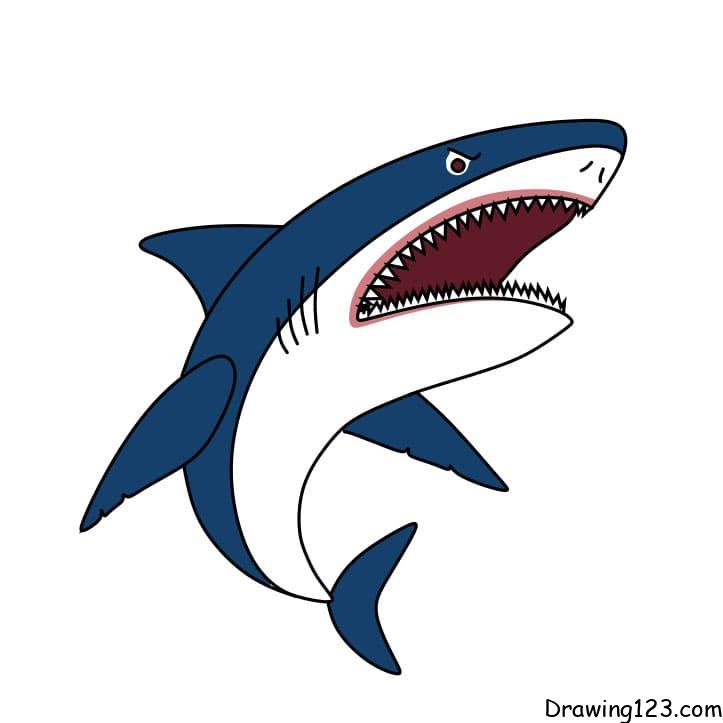 Jak Nakreslit how-to-draw-shark-step-7