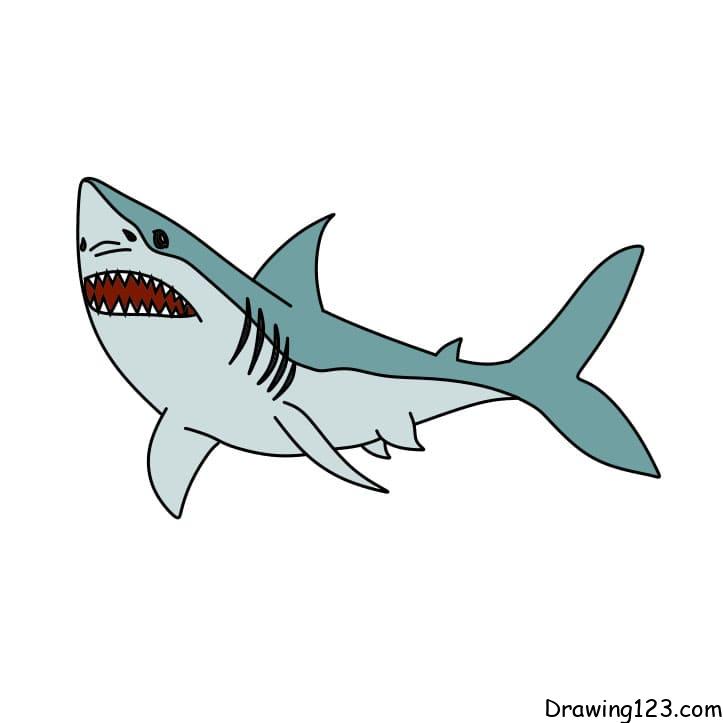 Jak Nakreslit how-to-draw-shark-step-9