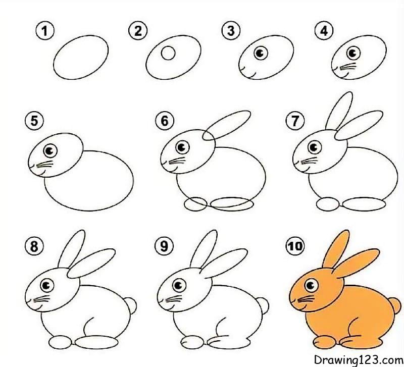 This image has an empty alt attribute; its file name is Rabbit-Drawing-Idea-11-step-by-step.jpeg