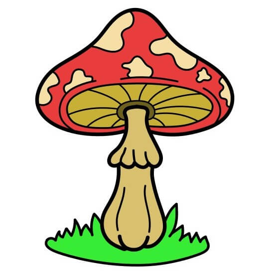 Jak Nakreslit Mushroom 7 (9)