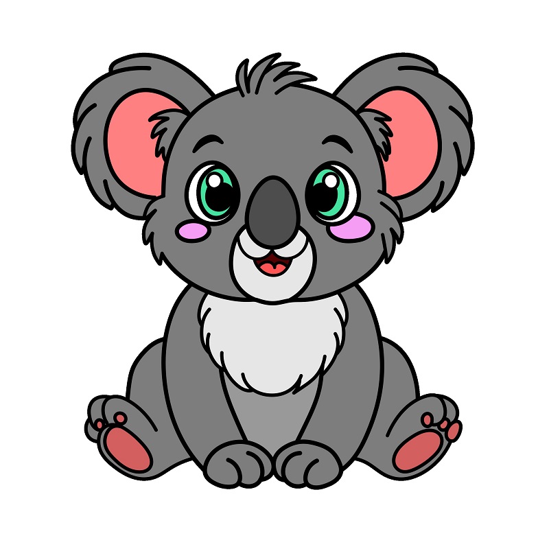 koala