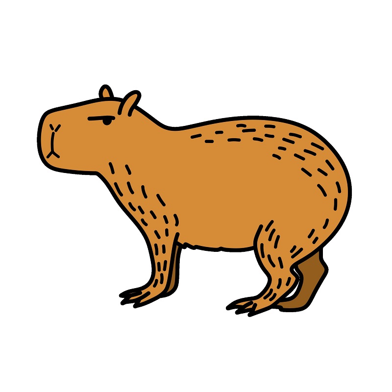 Jak Nakreslit Capybara 4 (7)