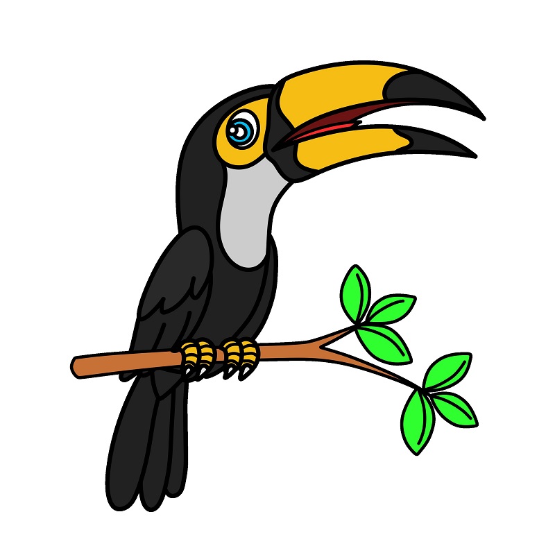 Jak Nakreslit Toucan 3 (10)