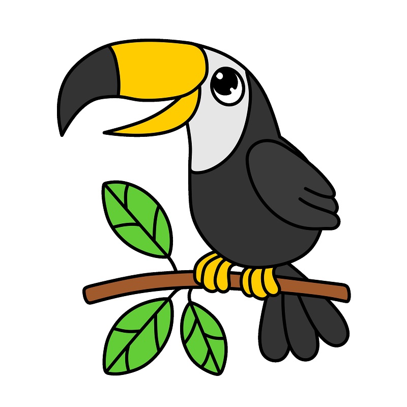 Jak Nakreslit Toucan 5 (8)