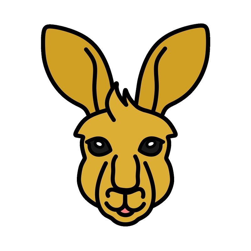 Jak Nakreslit Kangaroo 4 (8)