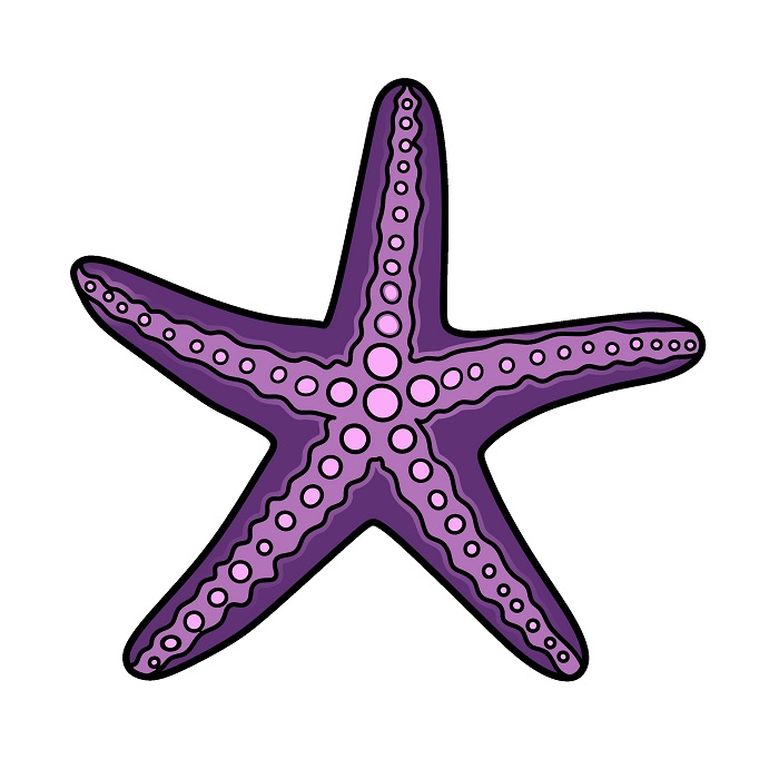 Jak Nakreslit Starfish 3 (5)