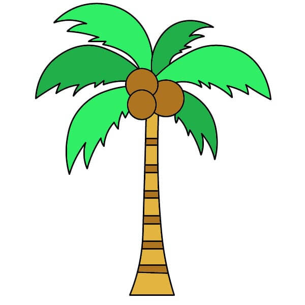 Jak Nakreslit Palma 5-6