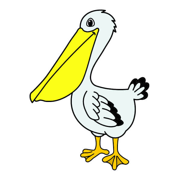 Jak Nakreslit Pelikán