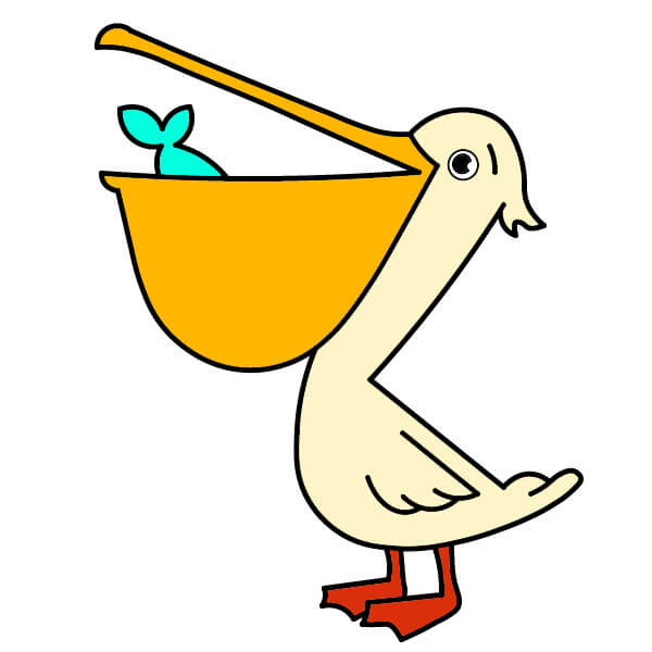 Jak Nakreslit Pelikán 2-10