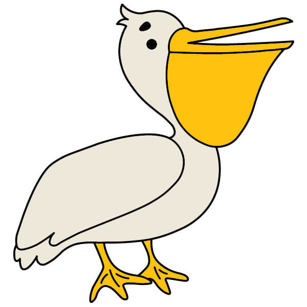 Jak Nakreslit Pelikán 3-8