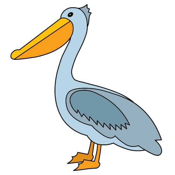 Jak Nakreslit Pelikán 4-9