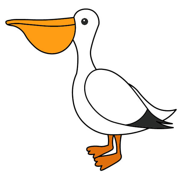 Jak Nakreslit Pelikán 6-7